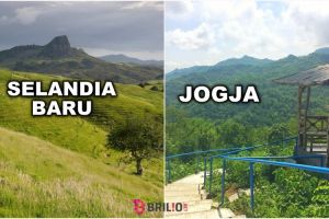 Sejuknya Green Village Gedangsari, Selandia Baru versi Jogja