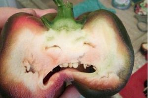 18 Benda ini mengalami krisis identitas, bikin geregetan melihatnya!