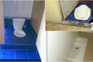 27 Bangunan WC gagal, bikin bingung orang kebelet
