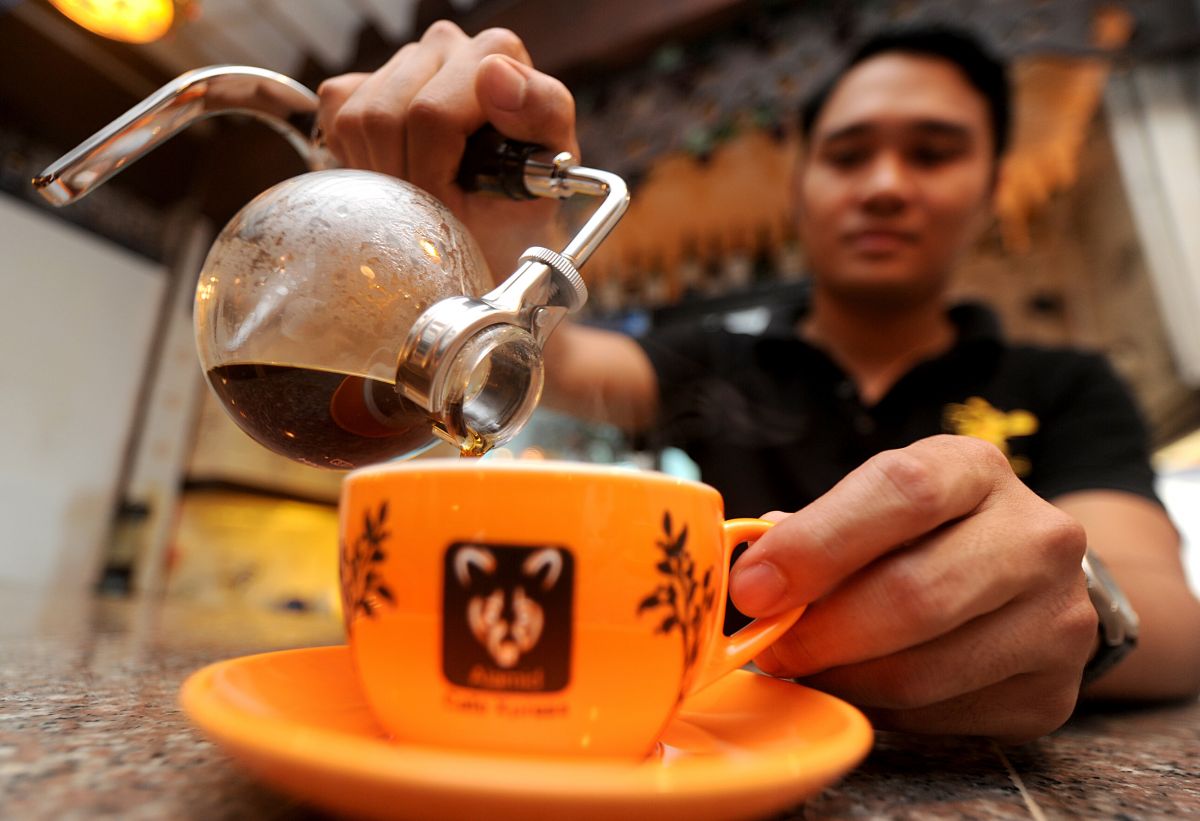 Things You Need To Know About Worlds Most Expensive Poop Coffee