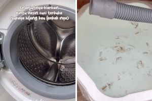 Tak perlu dibongkar, ini trik bersihkan mesin cuci berlumut dan bau apek cuma pakai 2 bahan dapur