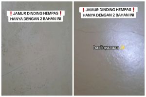 Trik hilangkan noda jamur kehitaman di dinding bikin kinclong lagi, cukup tambah 1 bahan dapur