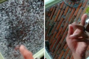 Cara wanita bersihkan jamur di kaca ini praktis cuma tambah 1 bahan dapur, auto bening dalam 5 menit