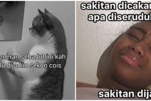 11 Meme saat dijadikan pilihan kedua ini awalnya sederhana tapi endingnya nyelekit