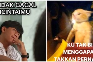 11 Meme galau mencintai seorang diri ini kata-katanya menusuk banget
