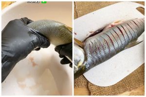 Tak perlu pisau, trik bersihkan sisik ikan ini lebih cepat dan aman tanpa khawatir tangan lecet