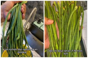 Awet hingga 10 hari, ini trik simpan kacang panjang agar segar dan tak berkerut pakai 1 alat sederhana