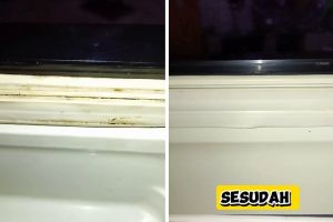 Tak perlu ganti baru, ini cara mengubah karet pintu kulkas menguning jadi mengilap lagi seperti baru