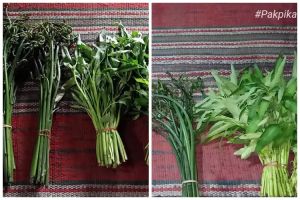 Jangan dibuang, ini trik kembalikan sayur pakis dan kangkung layu jadi segar lagi bak baru dipetik