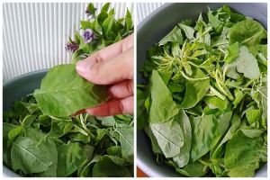 Cara supaya tumisan bayam tidak menghitam dan tetap hijau segar usai dimasak, jangan asal pilih sayur