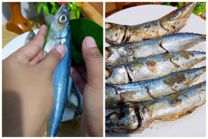 Cara bikin ikan pindang agar dagingnya tak mudah hancur dan antiamis, cukup pakai 1 rempah daun