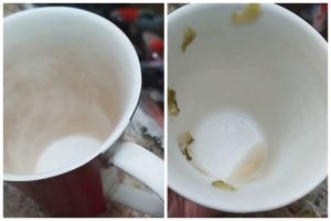 Bukan pakai baking soda, ini trik menghilangkan kerak teh di gelas keramik