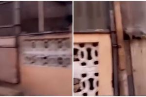 Rumah tampak rombeng dari luar ini dalamnya ada fasilitas mewah cocok buat gaming, intip 7 potretnya