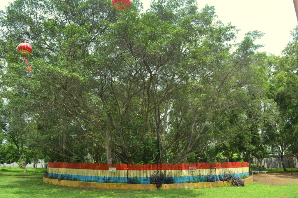 9 Foto lucu 'fenomena hypebeast 2019' ini bikin geleng kepala