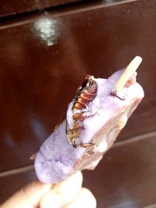 momen alasan gagal makan kocak © berbagai sumber momen alasan gagal makan kocak © berbagai sumber