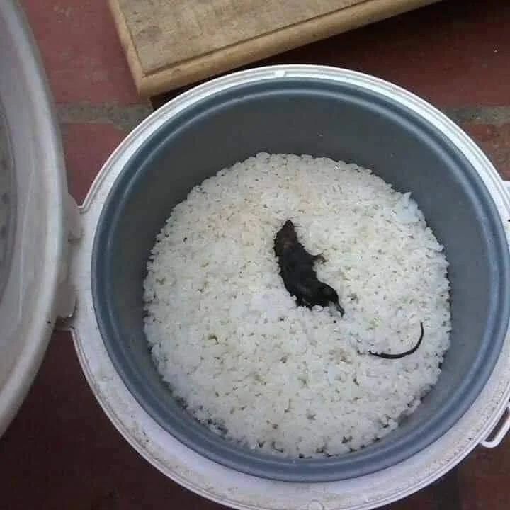 momen alasan gagal makan kocak © berbagai sumber momen alasan gagal makan kocak © berbagai sumber