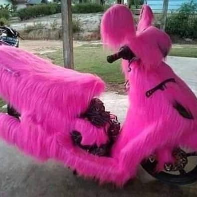 modif body motor nyeleneh pol © berbagai sumber