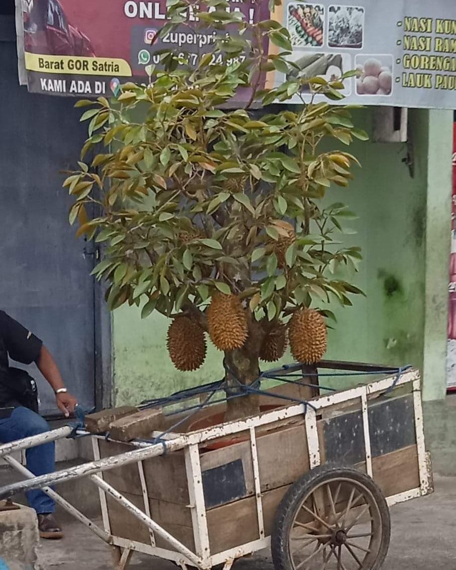 pedagang keliling bawa benda nyeleneh © berbagai sumber