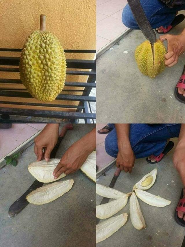 penampakan isi buah © berbagai sumber