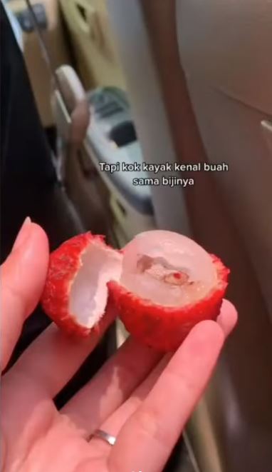 penampakan isi buah © berbagai sumber