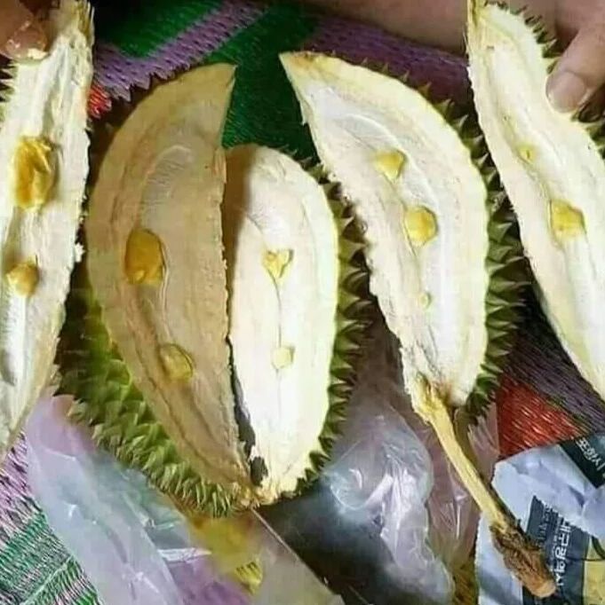 penampakan isi buah © berbagai sumber
