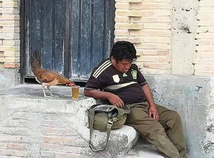 nggak sadar lagi dikerjain © berbagai sumber