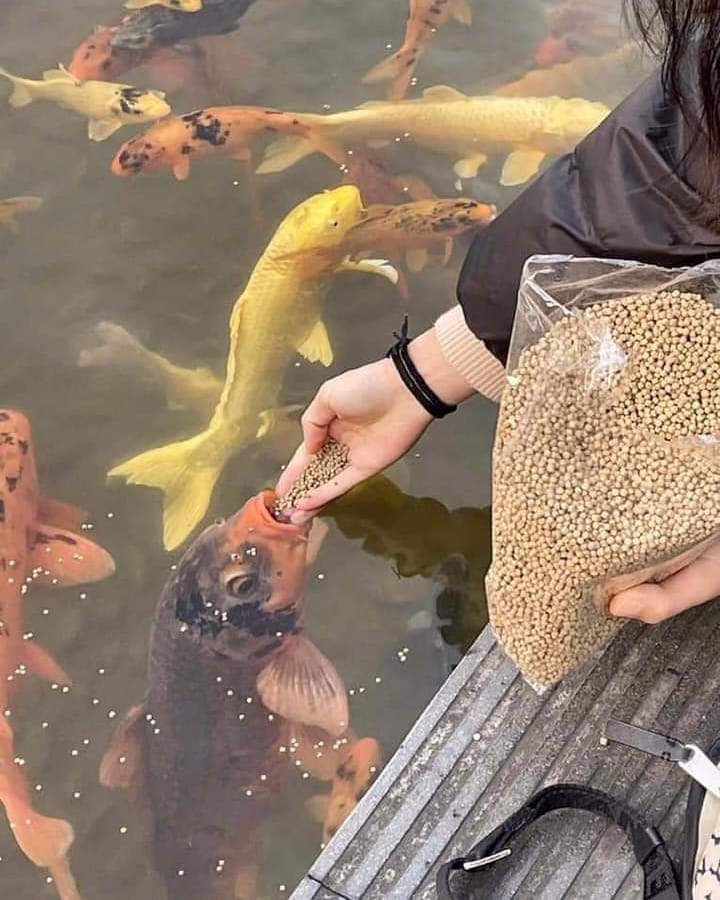 orang bikin kesalahan kocak © berbagai sumber orang bikin kesalahan kocak © berbagai sumber