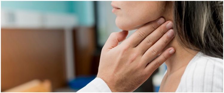 11 Manfaat pakcoy bagi kesehatan, ampuh jaga daya tahan tubuh