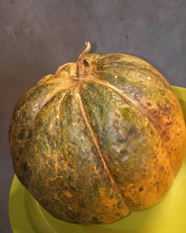 8 Cara memilih dan menyimpan buah blewah, tetap segar tahan lama