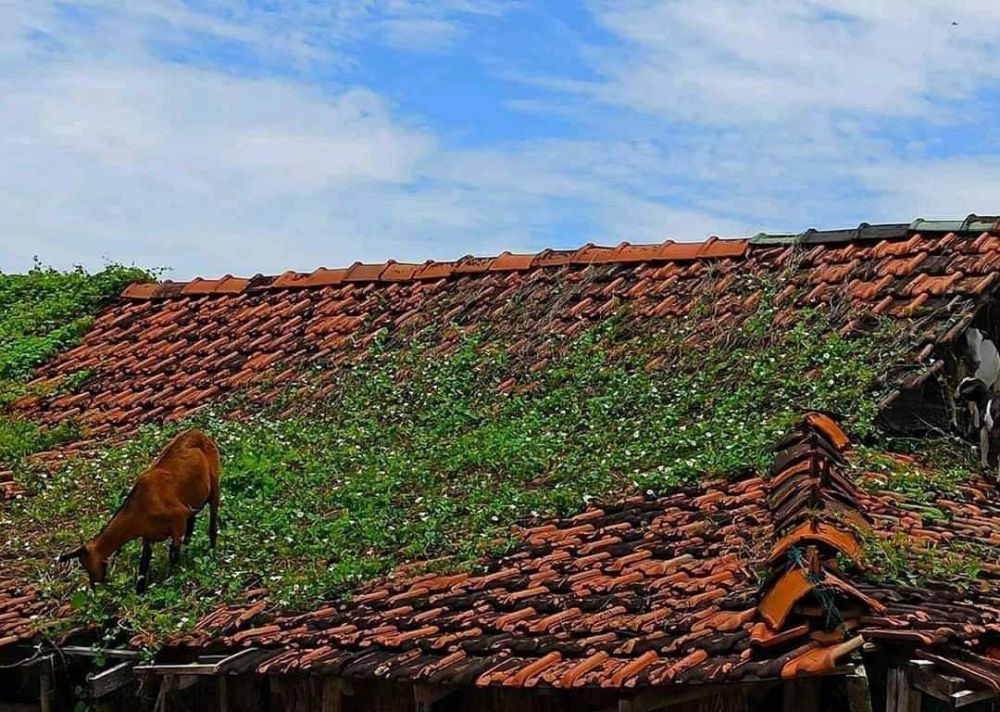 terpaksa kreatif nyeleneh banget © berbagai sumber
