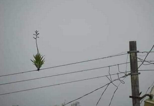 ada benda tapi salah posisi nih © Instagram