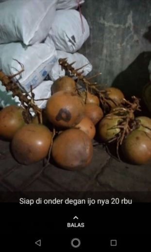 status jual makanan di WA kocak © Instagram