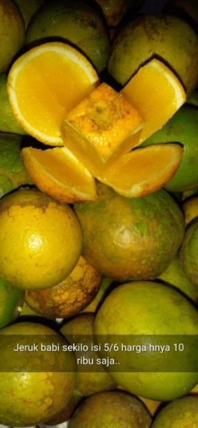 status jual makanan di WA kocak © Instagram