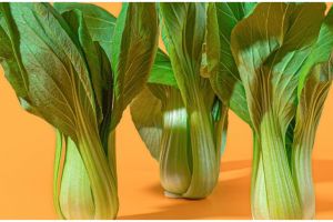 Tanpa disadari, 9 kebiasaan santap sahur ini bisa bikin badan lemas