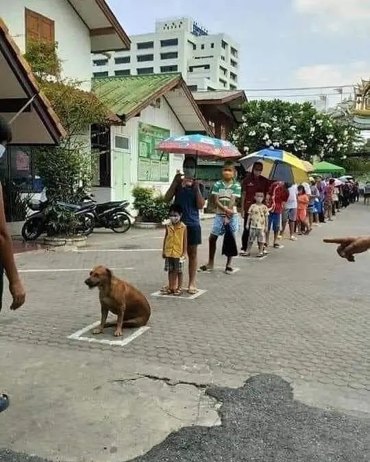 asal bisa ikut main deh © Instagram