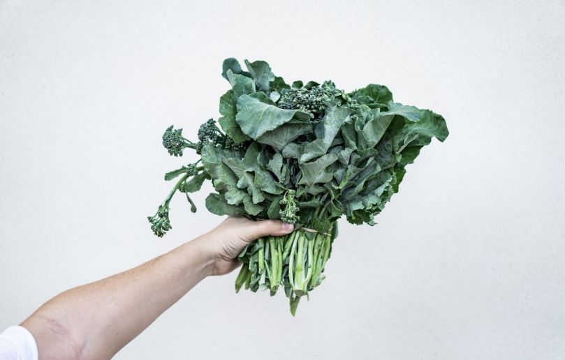 7 Buah dan sayur dikonsumsi Gilang Dirga saat diet, bikin tubuh fit