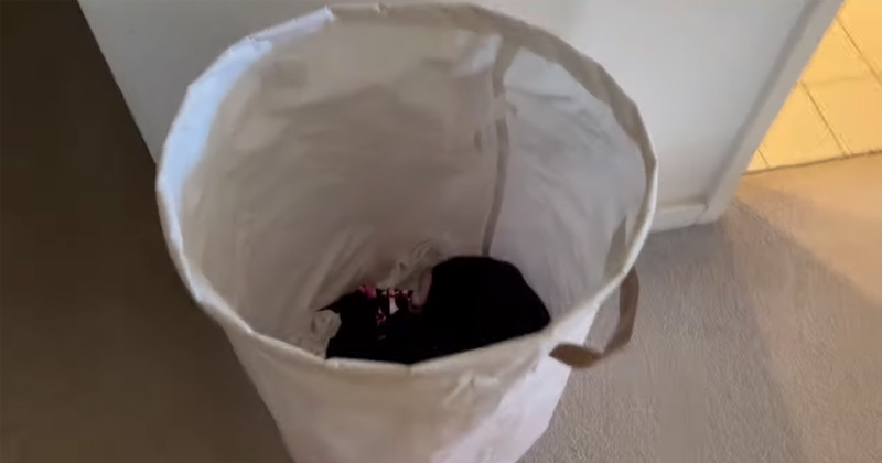 apartemen Livy Renata di Australia  Berbagai sumber