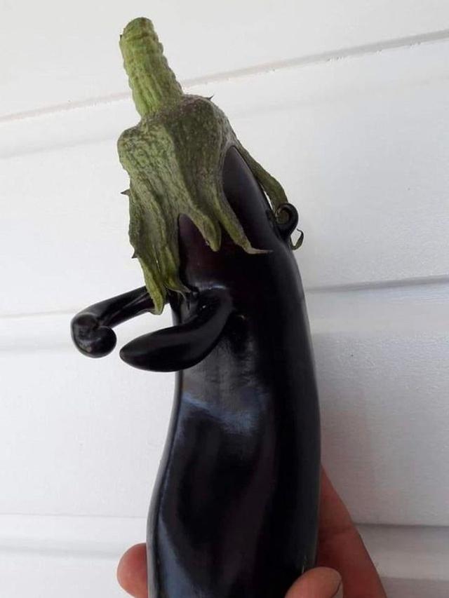 buah dan sayur nyeleneh © berbagai sumber