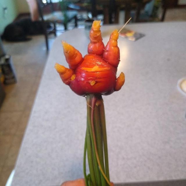 buah dan sayur nyeleneh © berbagai sumber