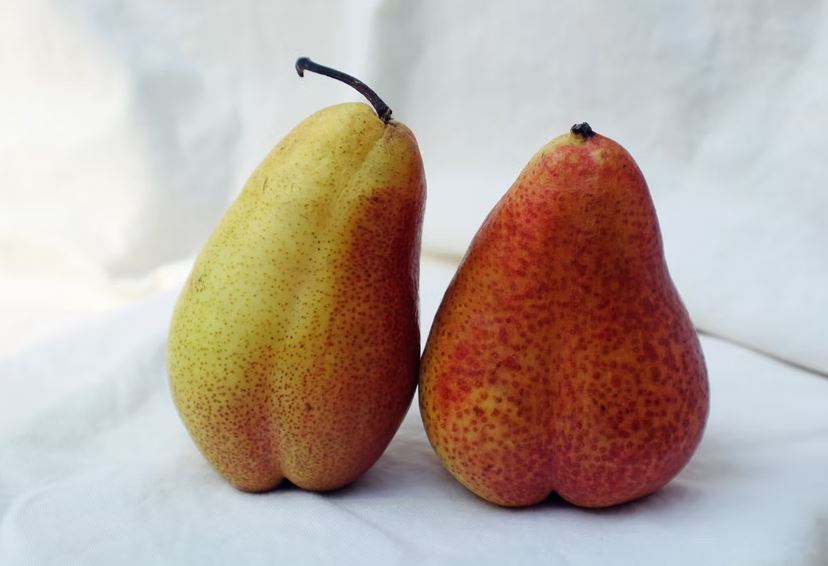 10 Buah ini bikin perut kenyang lebih lama, cocok disantap saat sahur