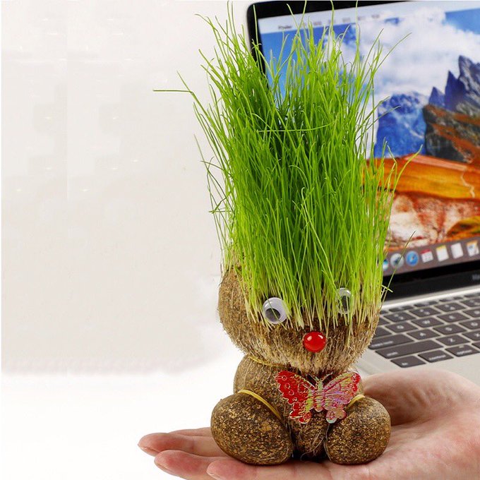 orang memanfaatkan tanaman kreatif © berbagai sumber orang memanfaatkan tanaman kreatif © berbagai sumber