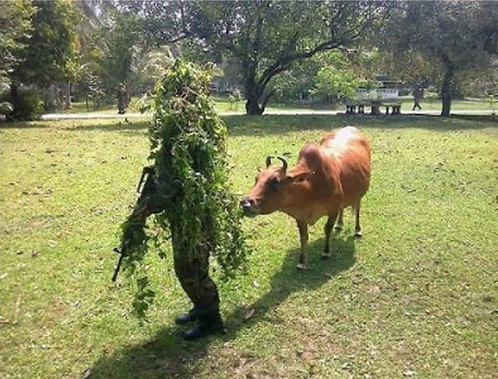 orang memanfaatkan tanaman kreatif © berbagai sumber orang memanfaatkan tanaman kreatif © berbagai sumber