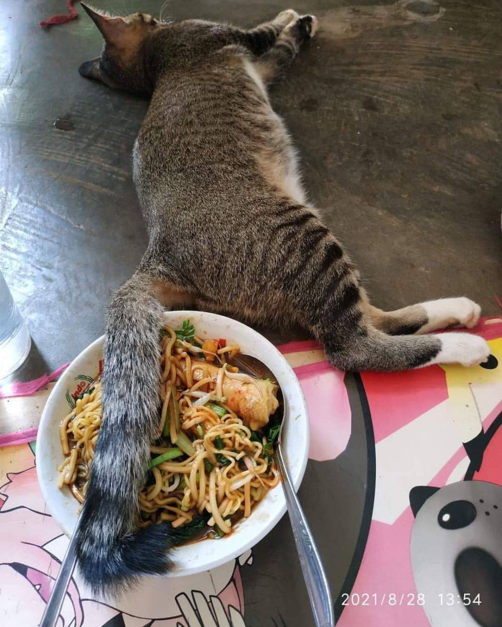 Momen apes bikin nggak jadi makan © berbagai sumber