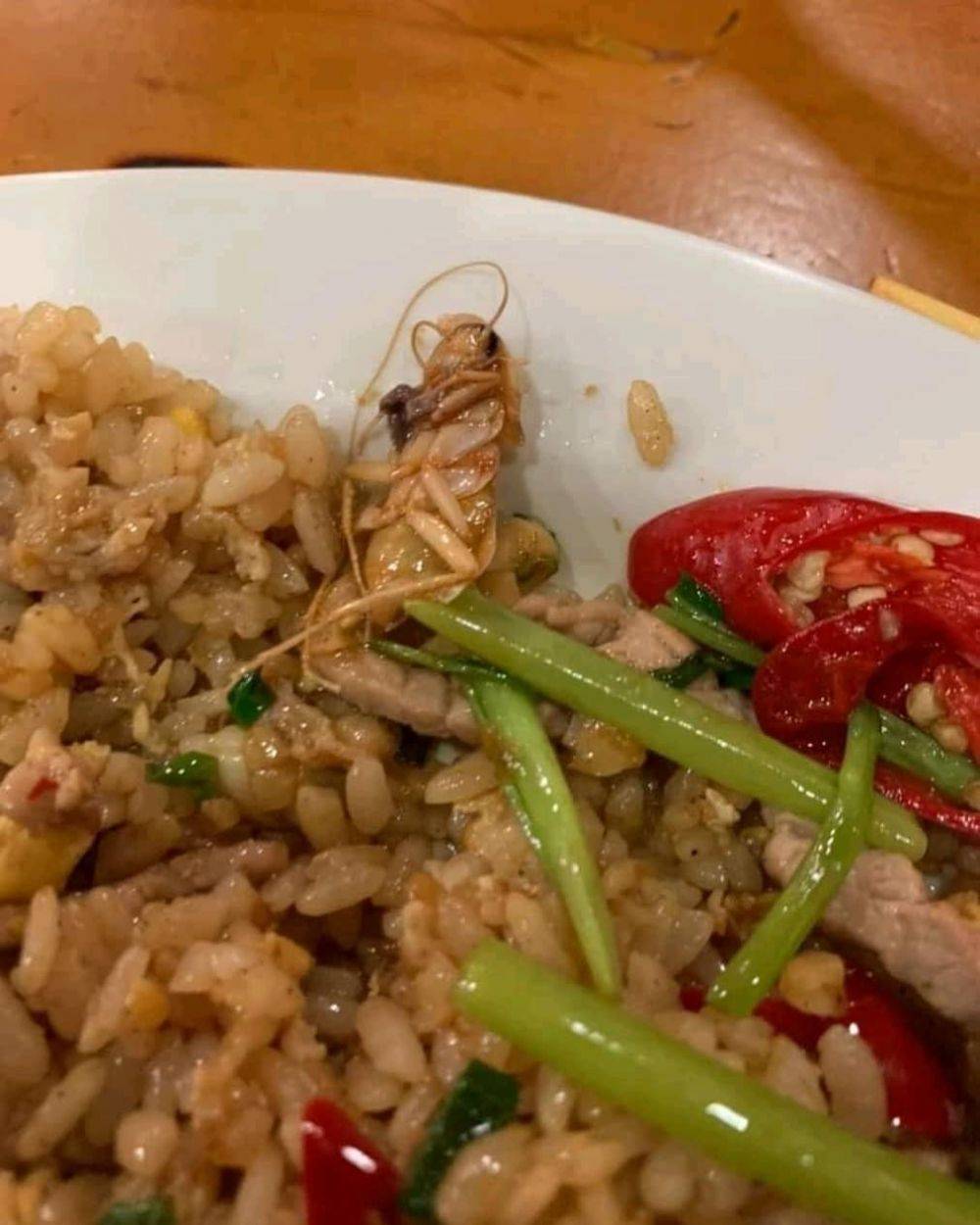 Momen apes bikin nggak jadi makan © berbagai sumber