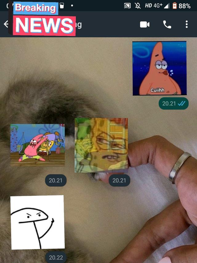 balasan chat pakai stiker © berbagai sumber