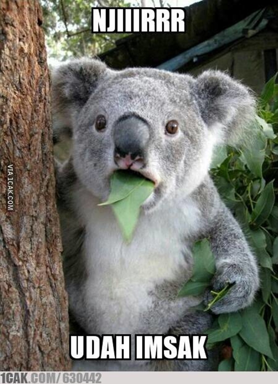 meme lucu sahur mepet imsak © berbagai sumber