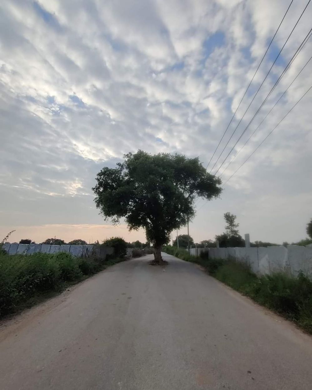 bentuk jalan jadi absurd pol © berbagai sumber bentuk jalan jadi absurd pol © berbagai sumber