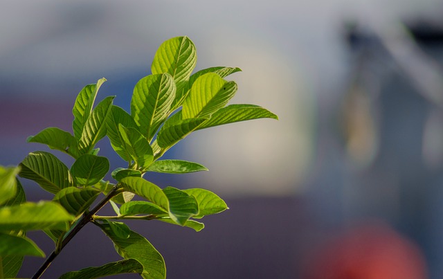 Tak banyak yang tahu, 9 makanan ini bisa mempercepat durasi mentruasi