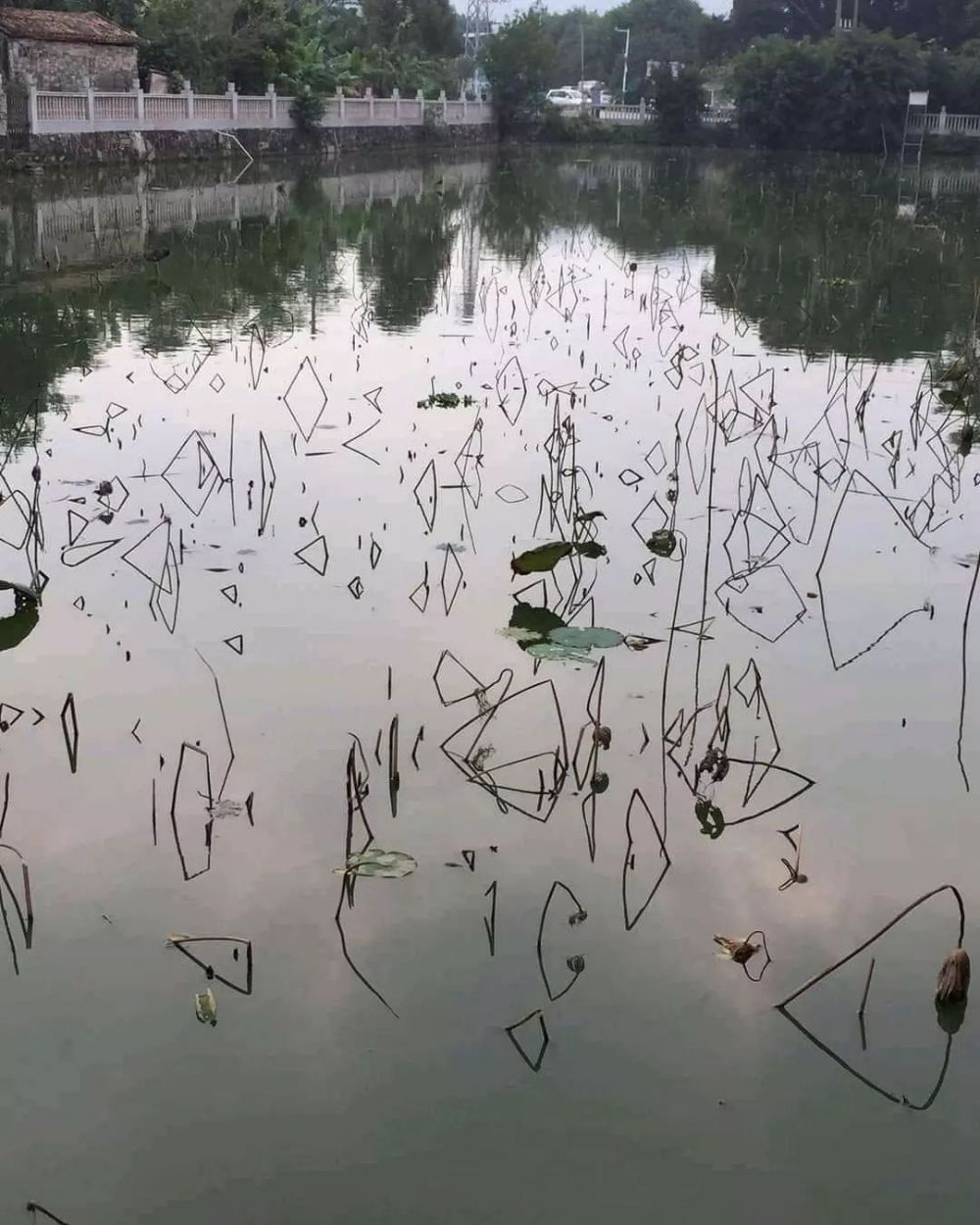 kena ilusi optik jadi bingungin © berbagai sumber