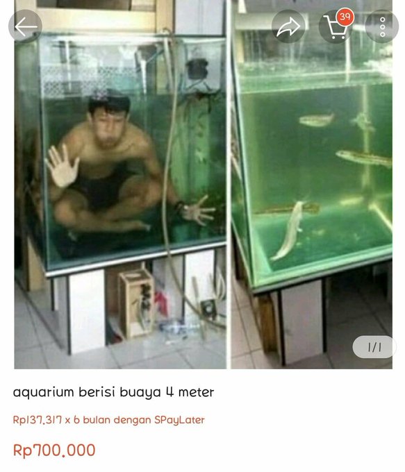 foto produk nyeleneh online shop © berbagai sumber foto produk nyeleneh online shop © berbagai sumber